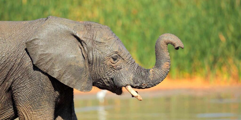 Africa multi-day tours