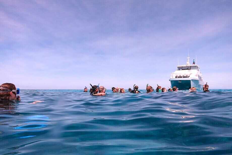 Small Group Great Barrier Reef Tour from Port Douglas