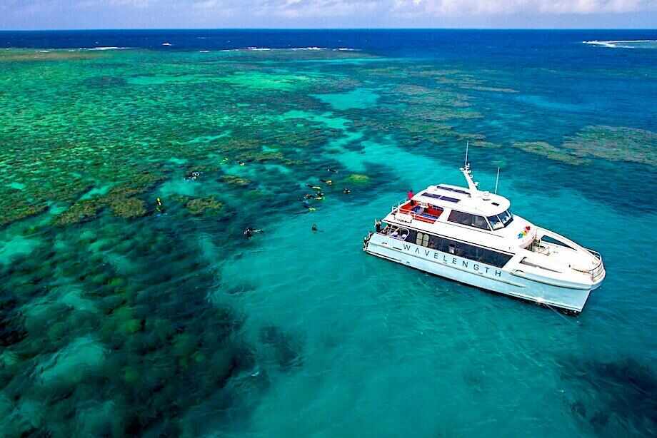 Small Group Great Barrier Reef Tour from Port Douglas