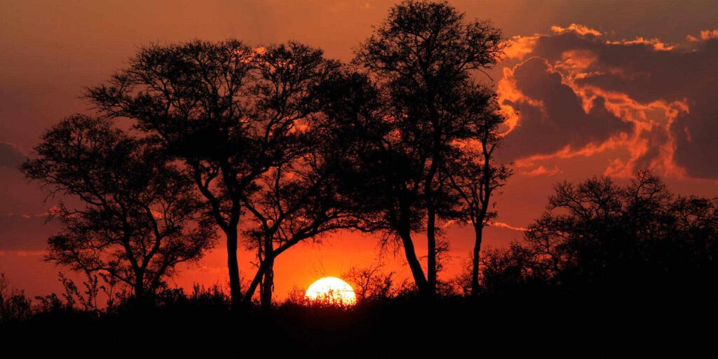 Top luxury African safari lodges
