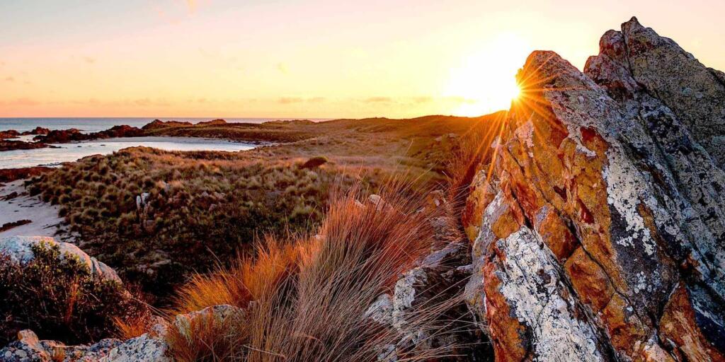 Tarkine walking tour
