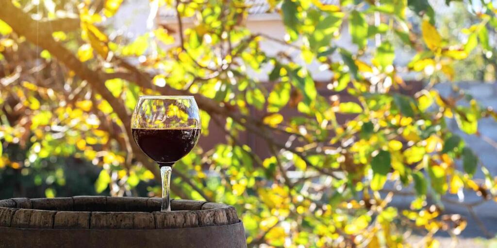 Hunter Valley Wine Tour from Sydney