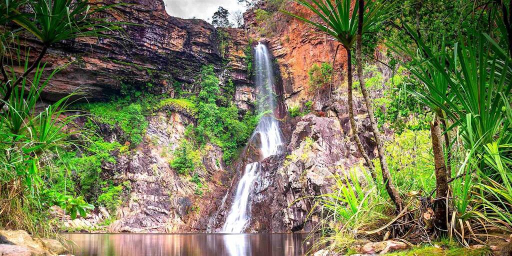 Litchfield National Park Eco Day Tour