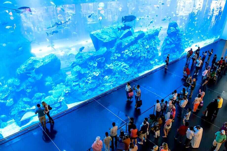 Dubai city guide