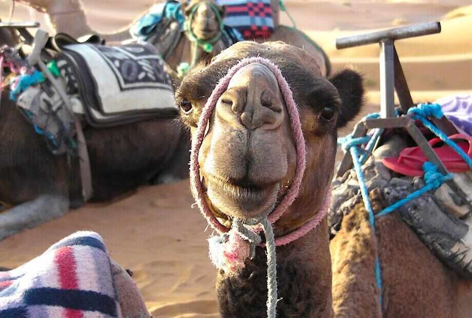 Top things to do in Morocco