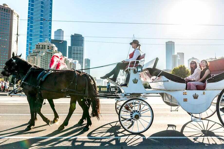 Melbourne Horse Drawn Carriage Tour. Image courtesy of A Classic Carriage Hire
