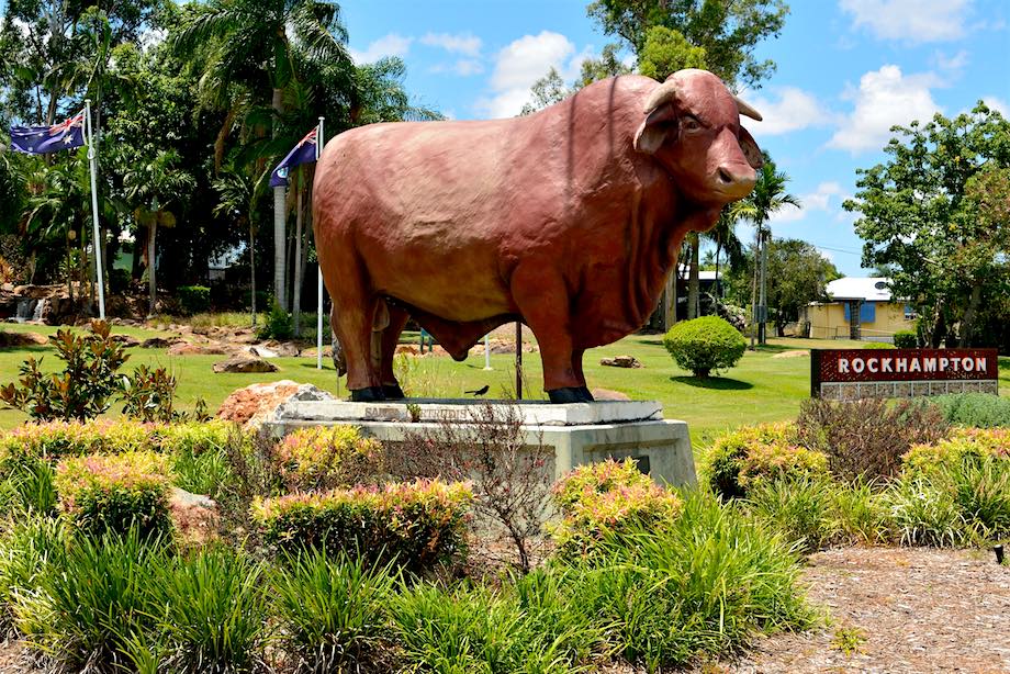 Ten of the best things to do in Rockhampton