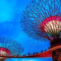 Singapore City Guide, Tours & Things to Do