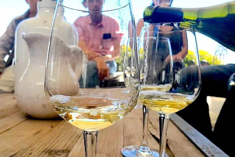 Boutique Yarra Valley Wine Tour from Melbourne
