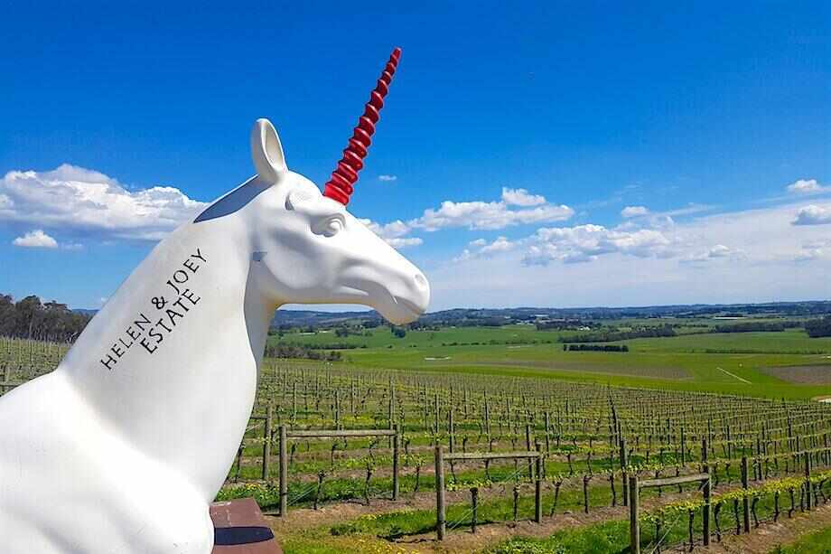 Boutique Yarra Valley Wine Tour from Melbourne