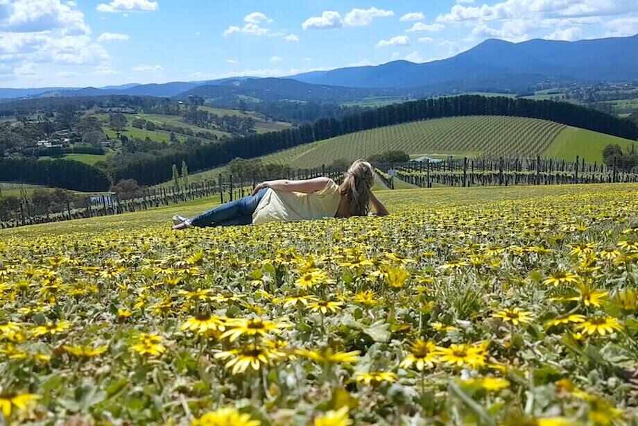 Boutique Yarra Valley Wine Tour from Melbourne