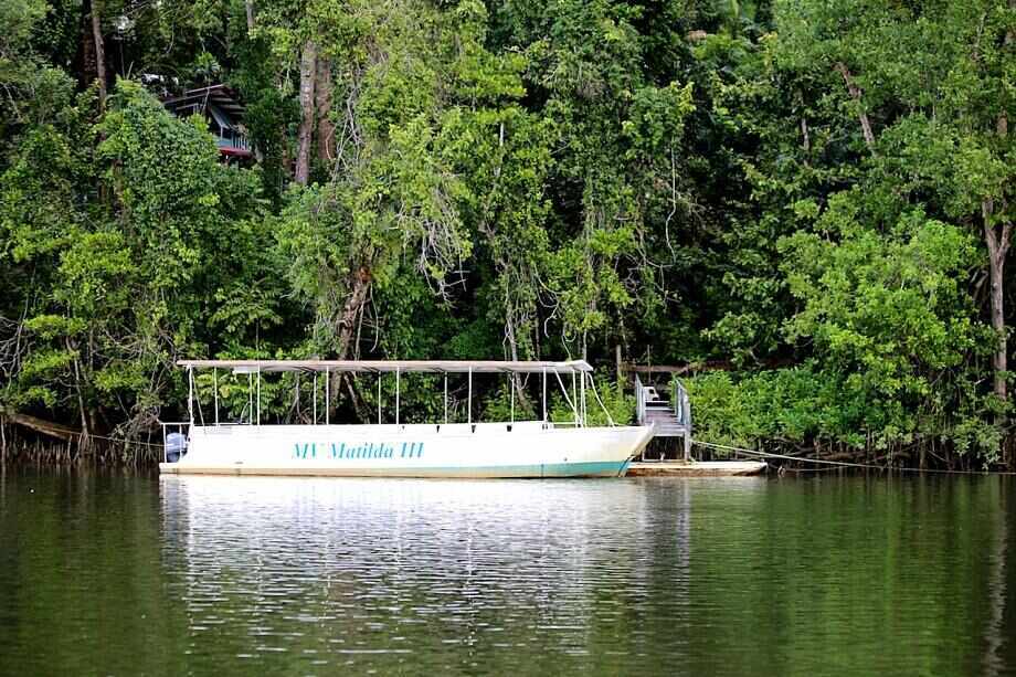 Daintree Tour from Cairns by 4WD