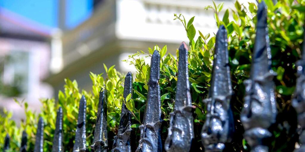 Top things to do in Charleston