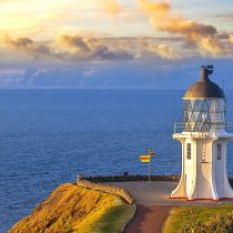 Ultimate Northland Road Trip Itinerary: Auckland to Cape Reinga, NZ