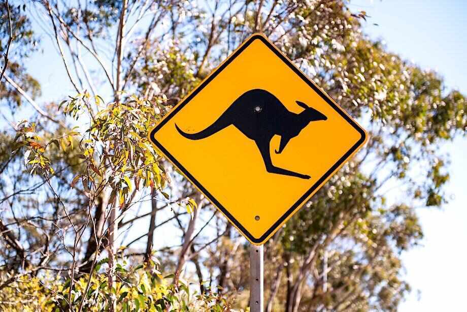Ten top tips for a successful Aussie road trip