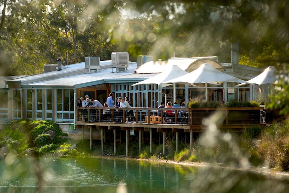 Ten of the best things to do in the Barossa Valley