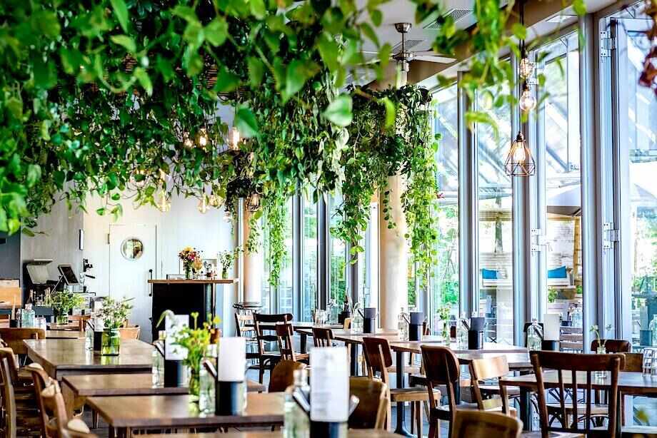 Zurich City Guide