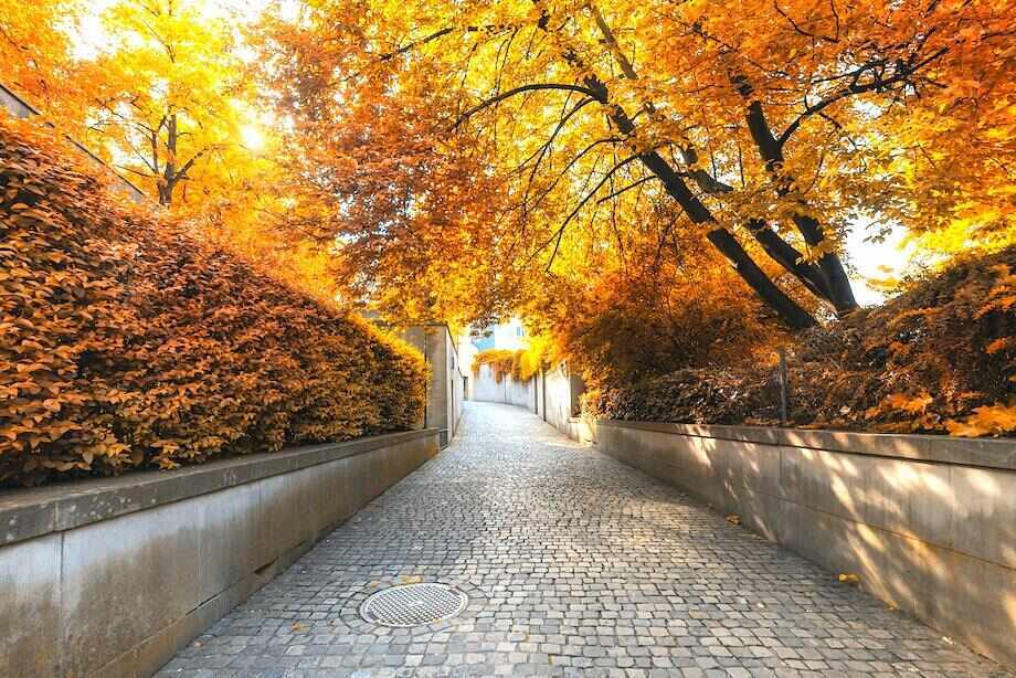Zurich City Guide