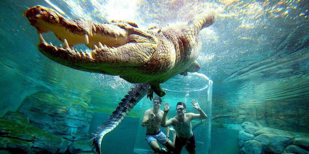 Cage of Death at Crocosaurus Cove