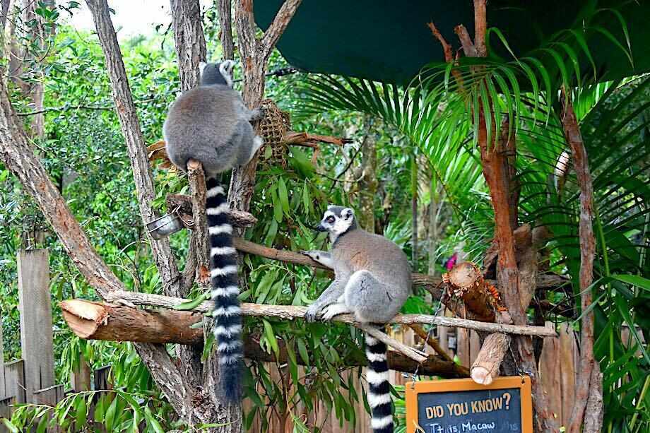 Australia Zoo