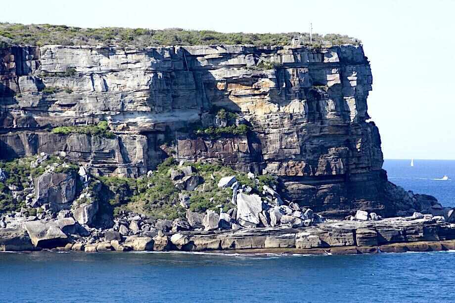 Sydney Whale Watching Cruise