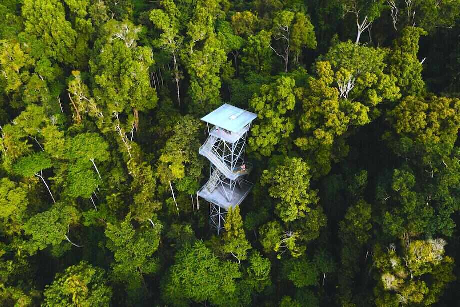 Mamu Tropical Skywalk