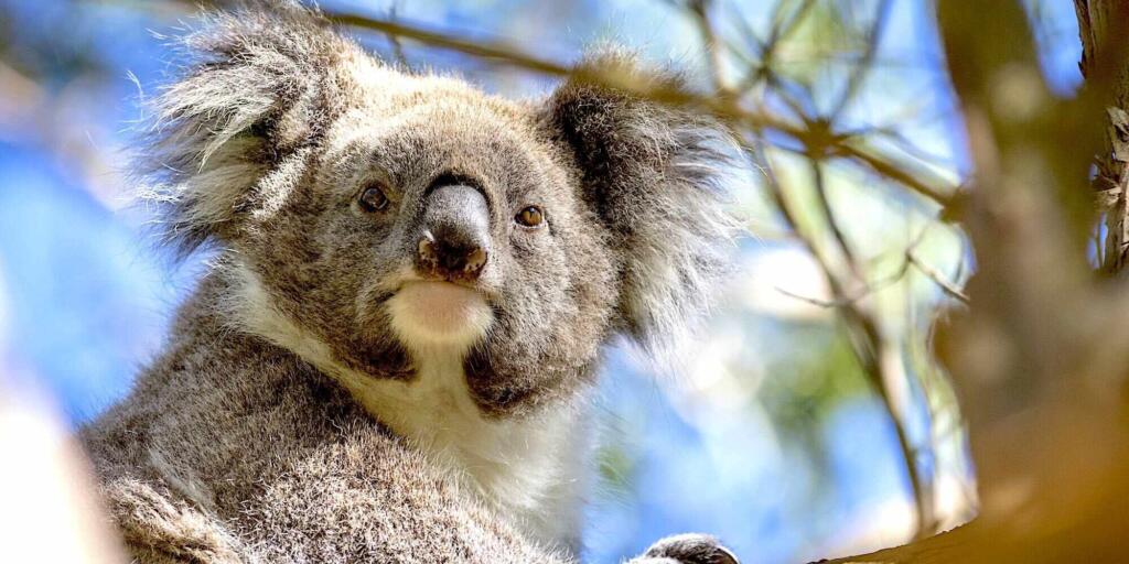 Top Melbourne day trips