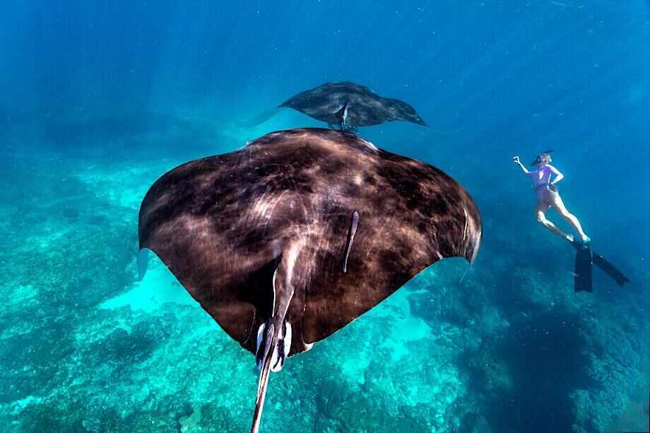 Best things to do on the Ningaloo Coast