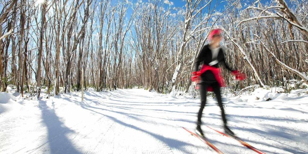Five of the best places to see snow close to Melbourne