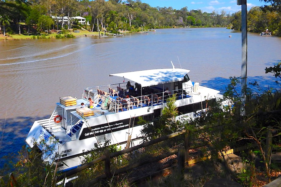 Brisbane river cruise to Lone Pine Koala Sanctuary