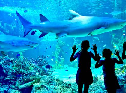 Sea Life Sydney Aquarium: Off-Peak Day Tickets