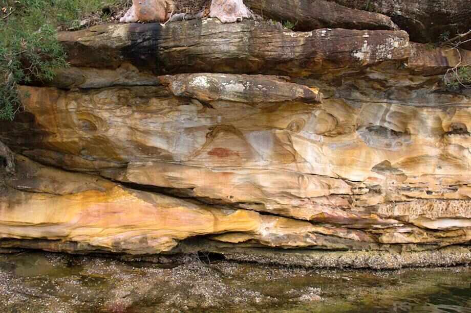 Sydney Aboriginal Rock Art Tour