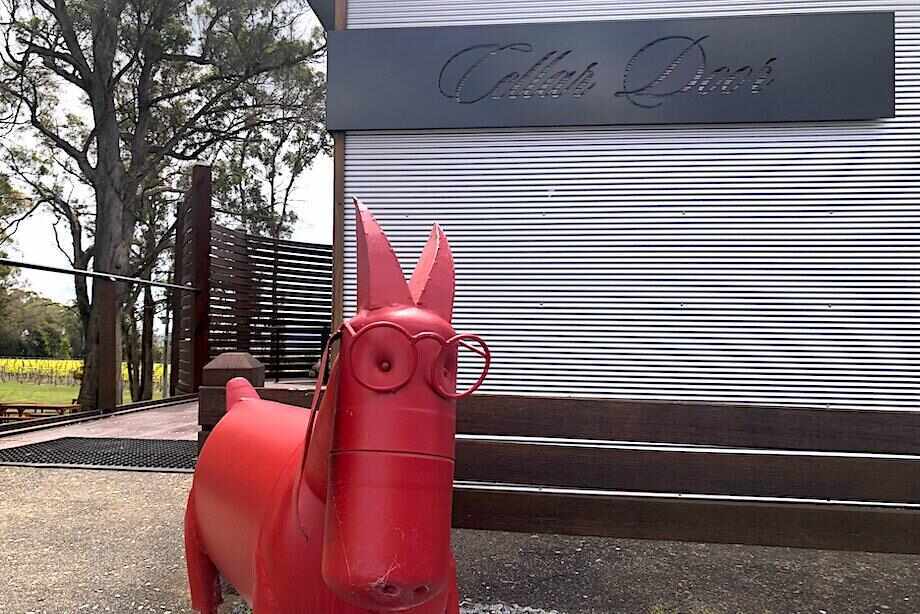 Tamar Valley Wine Tour from Launceston