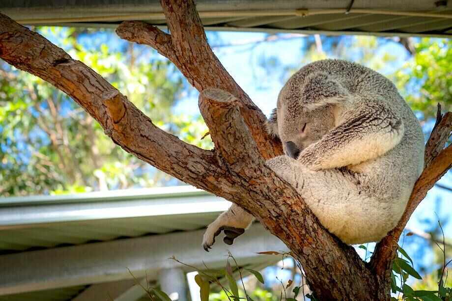 Great Australian family getaways near a capital city