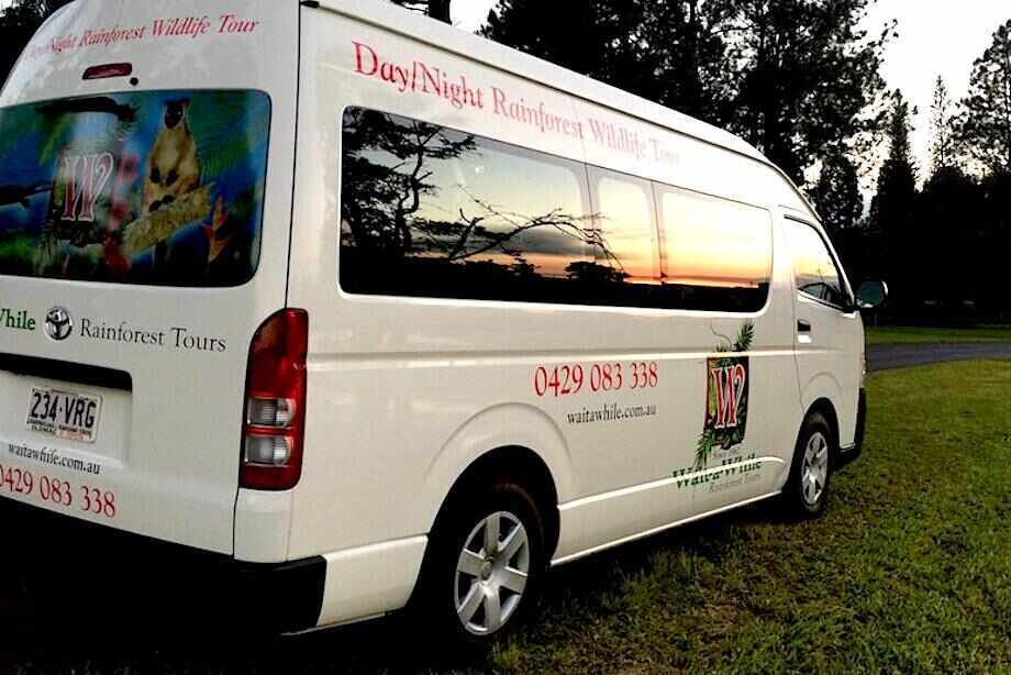 Atherton Tablelands Evening Rainforest Tour from Cairns