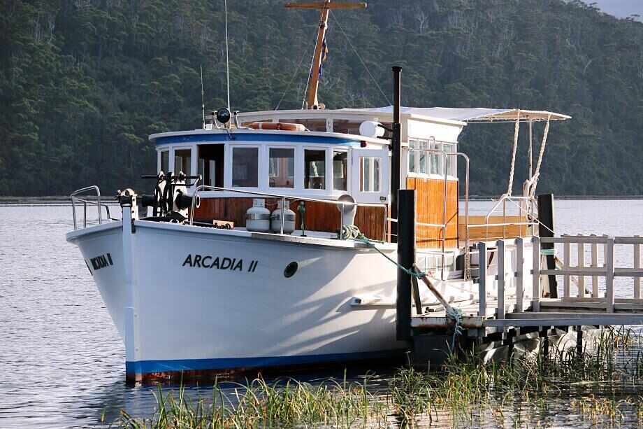 Tarkine Walking Tour, Tasmania