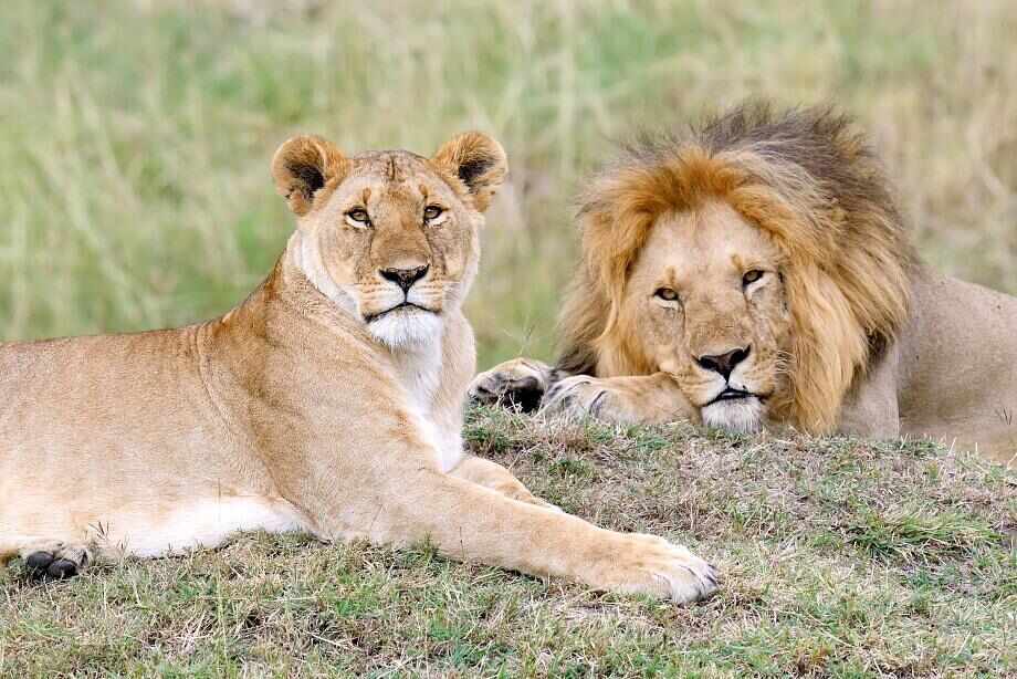 Ten top things to do in South Africa