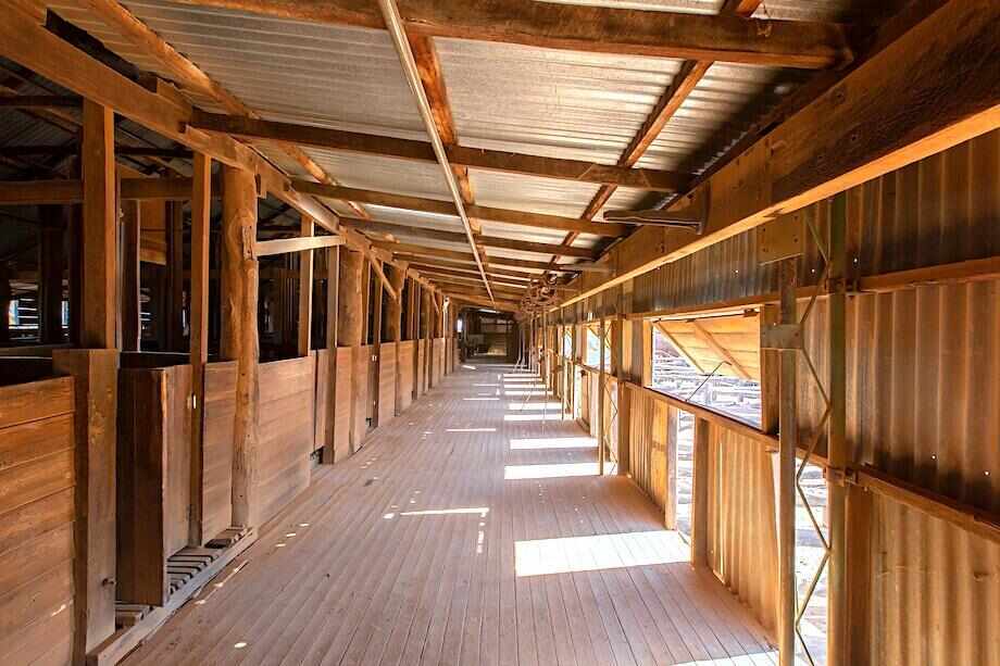 Ten of the best things to do in Menindee