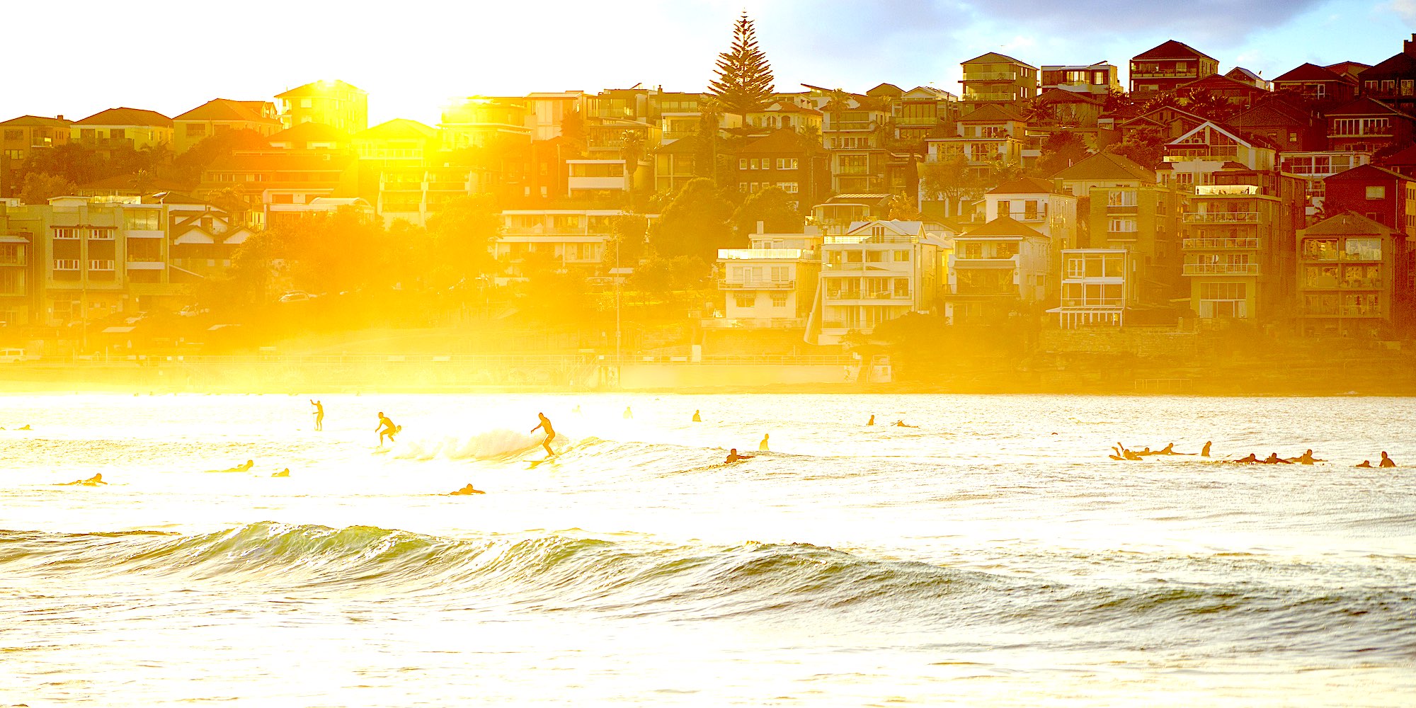 Top 10 Things to Do in Bondi, Sydney, 2024 - Top Oz Tours