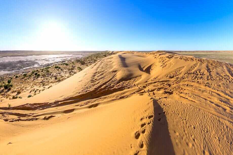 Ten of the best things to do in Birdsville