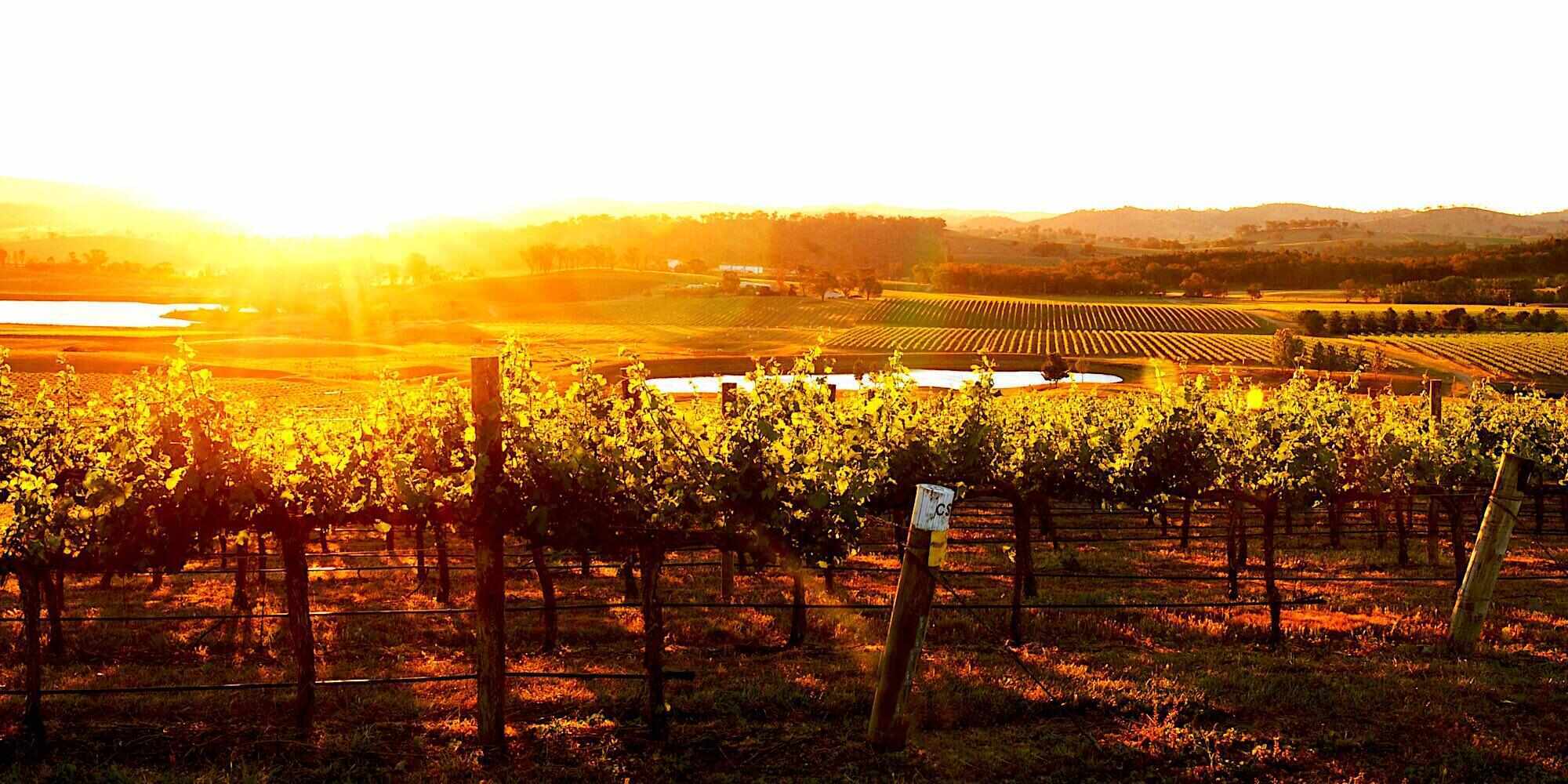 Top 10 Things to Do in Mudgee, NSW, 2024 Top Oz Tours