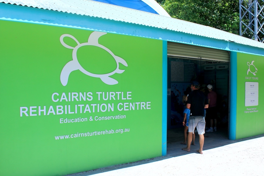 Ten of the best things to do in Cairns