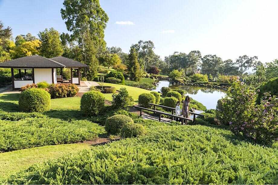 Ten of the best things to do in Cowra