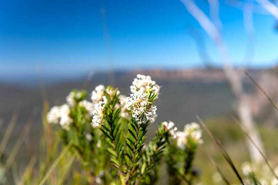 Ten of the best Blue Mountains bushwalks