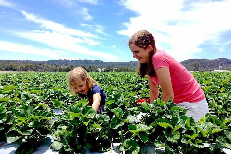 Ten of the best things to do in the Granite Belt