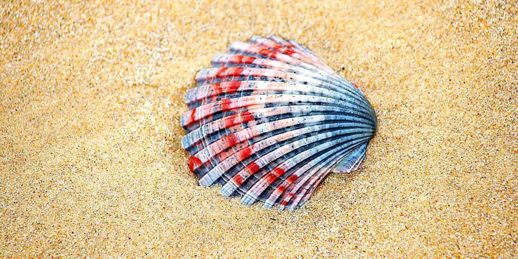 North Stradbroke Island Day Tour from Brisbane