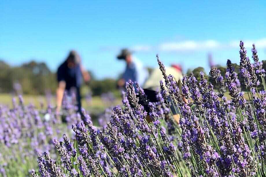 Ten of the best things to do in the Granite Belt