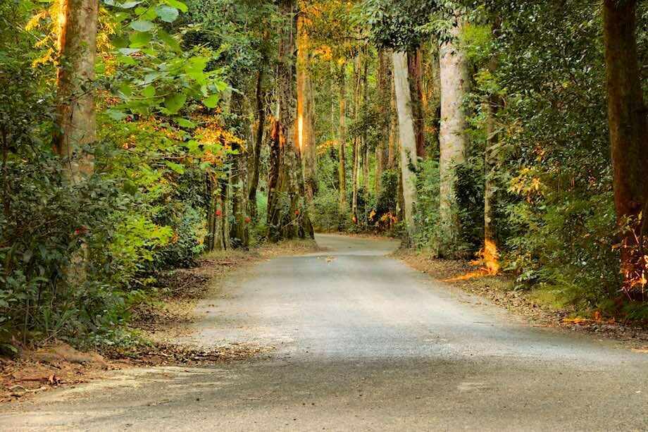 Ten of the best things to do on the Gold Coast