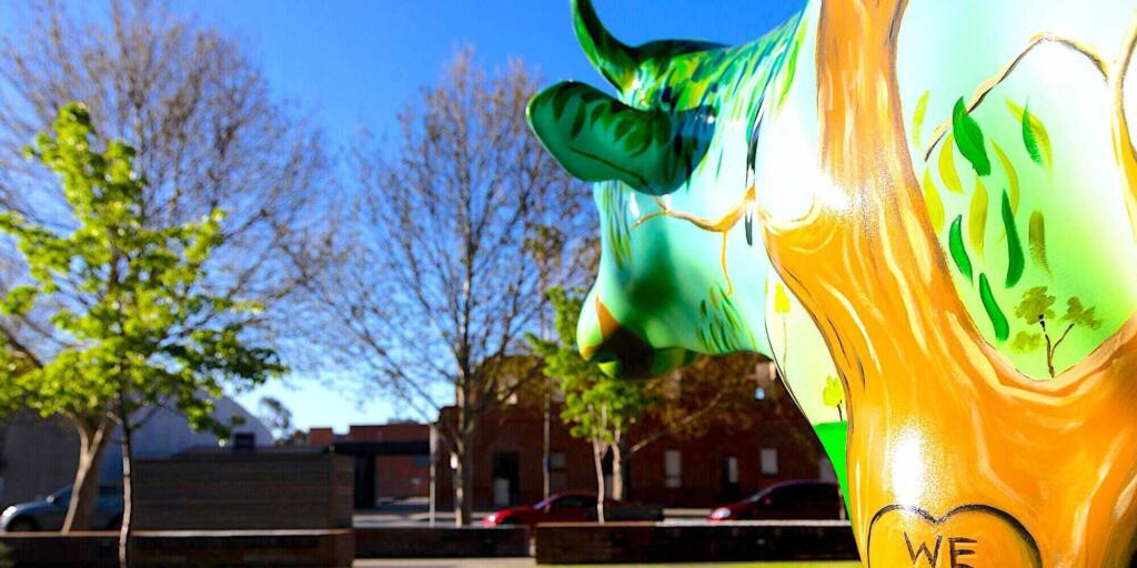 Ten of the best things to do in Shepparton