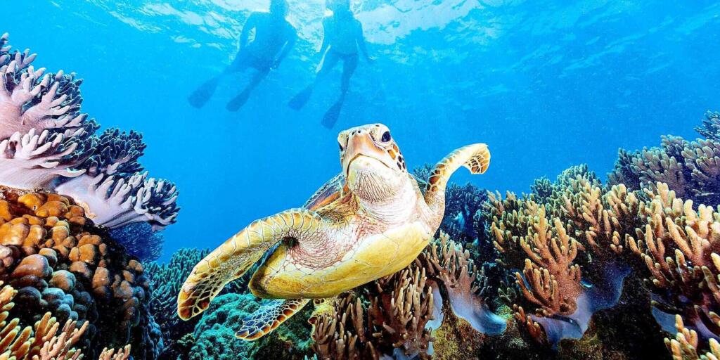 Great ways to see the Great Barrier Reef from Cairns